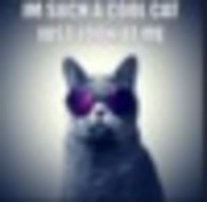 Meet your Posher, Charity